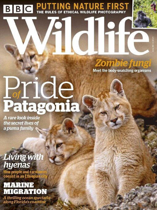 Cover image for BBC Wildlife Magazine